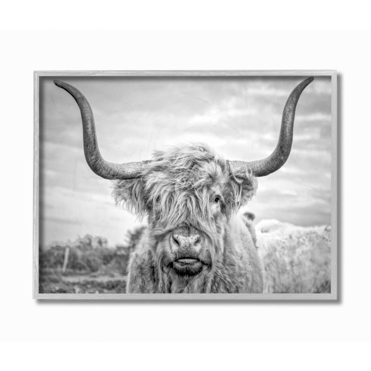 Stupell Industries Black & White Highland Cow Wall Art in Gray Frame